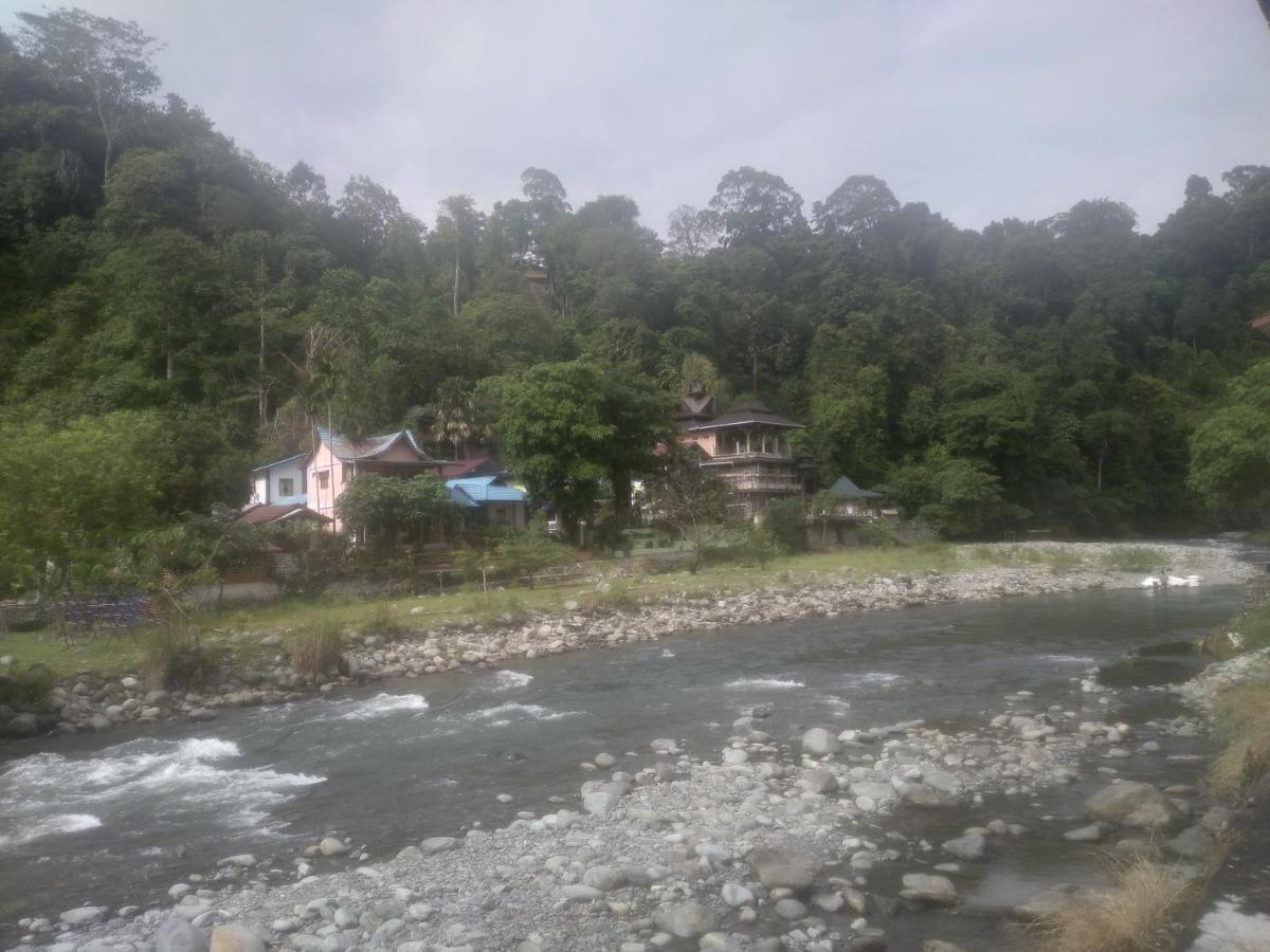 Umiyuki Jungle Tour Only Treking With As Hotel Bukit Lawang Luaran gambar