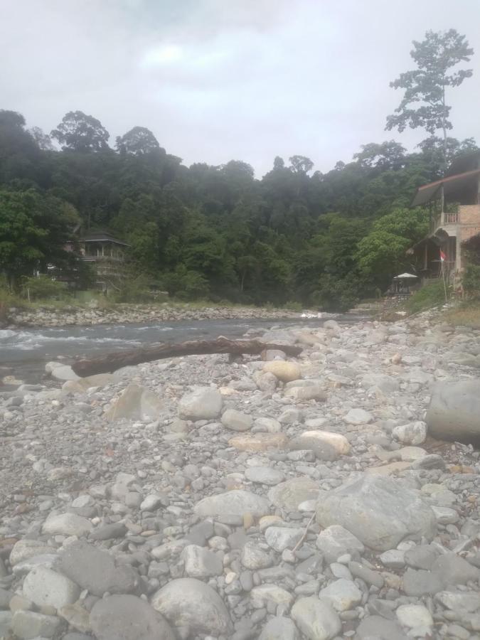 Umiyuki Jungle Tour Only Treking With As Hotel Bukit Lawang Luaran gambar