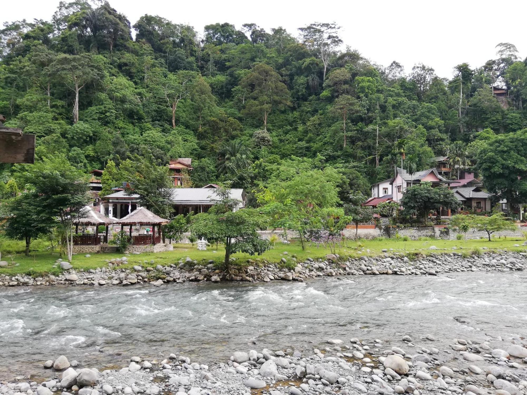 Umiyuki Jungle Tour Only Treking With As Hotel Bukit Lawang Luaran gambar